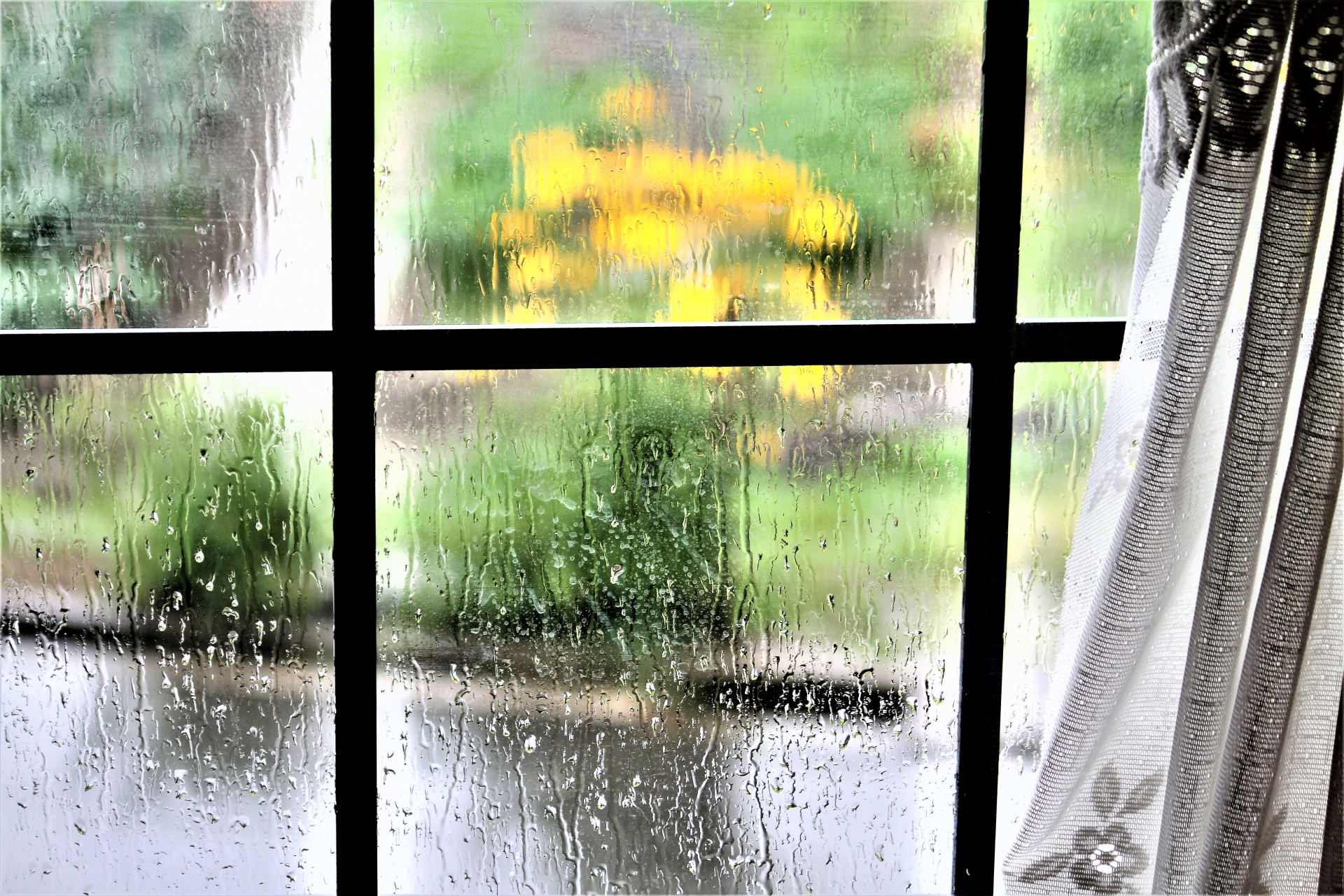 雨が好き 風に吹かれて～Blowin� in the wind～